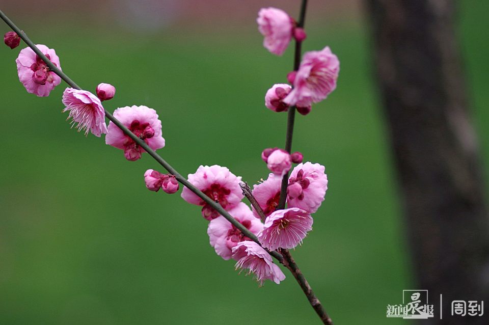 梅花易数快速入门方法_终南懒散人梅花易数教程_梅花易数最准确的方法