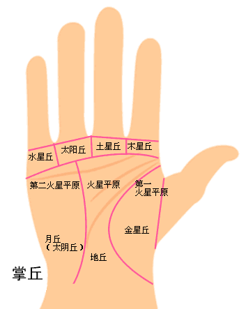 手掌纹路看健康图解_掌心婚姻线分析_男人手掌纹路图解