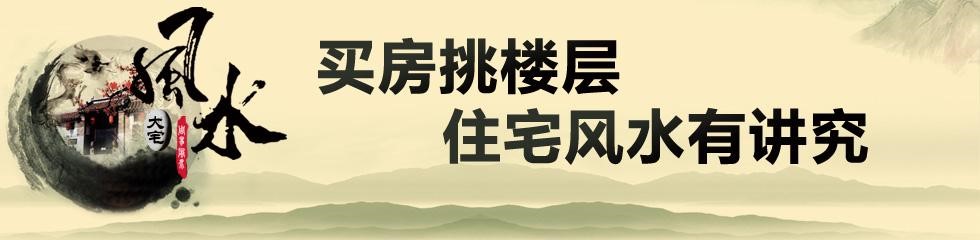 风水学诈骗_本命年风水骗局大全_风水骗术100问