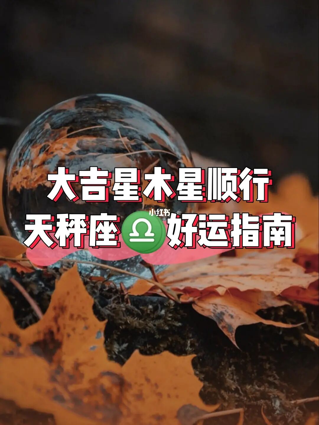 十二星座上半年都