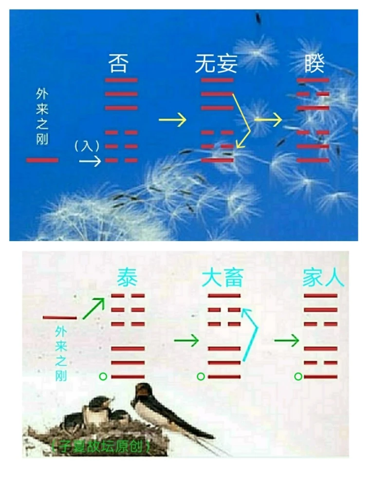 梅花易数断卦卦例_梅花卦怎么解_梅花易数的断卦顺序