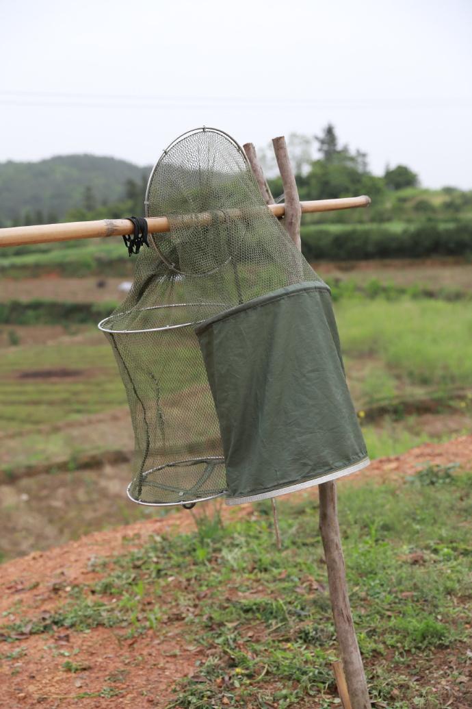 桃花阳宅风水实例_桃花风水局_阳宅中的桃花水