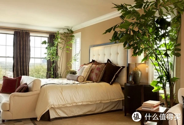 卧室植物摆放风水禁忌有哪些?4种卧室风水植物推荐