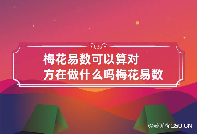 梅花易数可以算对方在做什么吗 梅花易数给别人算有限制吗