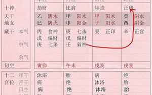 八字格局简洁(八字入门其实很简单)