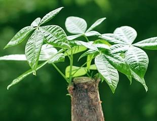 风水装修时间什么时候最佳_风水装修忌讳什么_关于装修所有风水