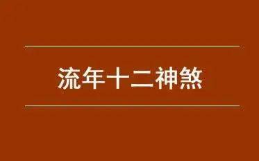 2021年生肖猪流年运势分析_生肖猪流年运势_流年运程测算2021属猪