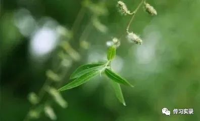 阳宅家居风水与疾病健康_阳宅风水与健康_家居风水与疾病